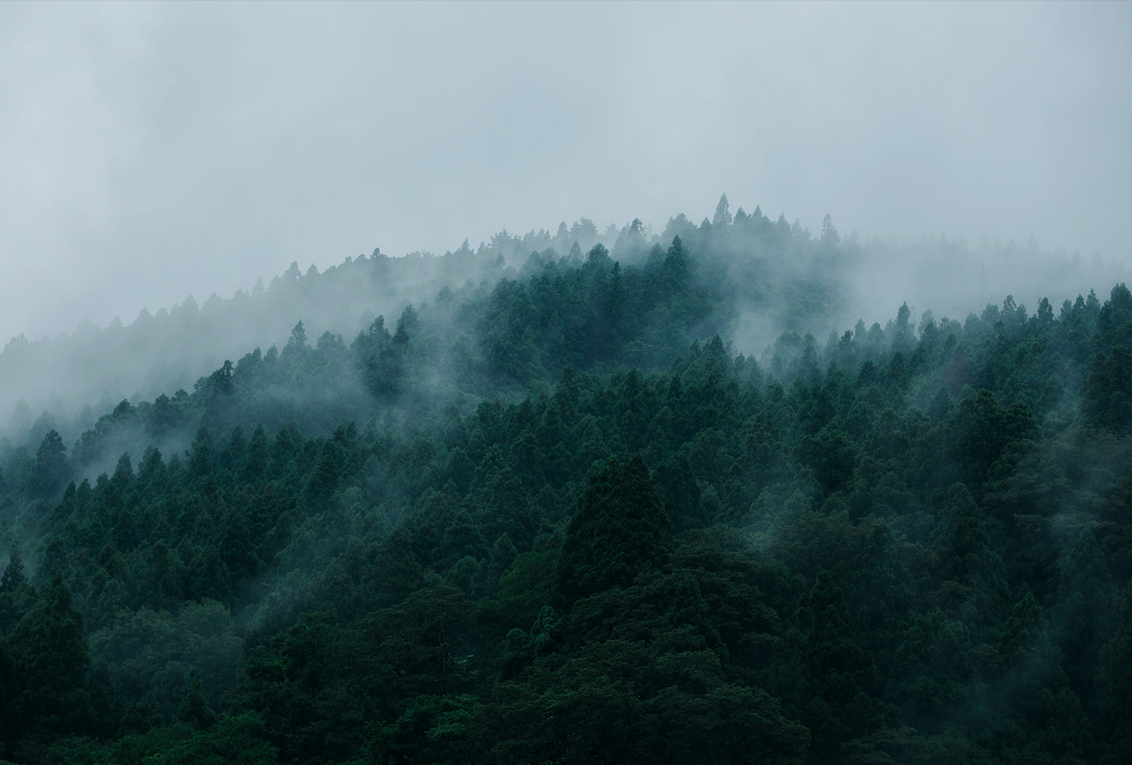 Immersing In The Nature Will Heal Your Sensitive Skin And Inner World